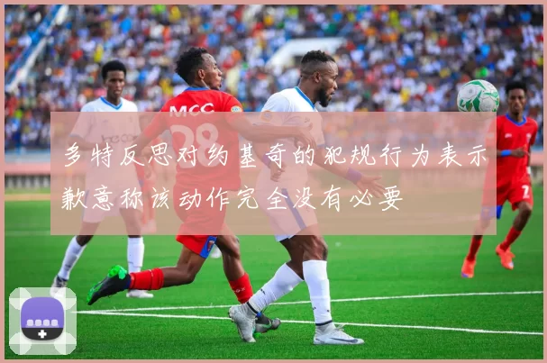多特反思对约基奇的犯规行为表示歉意称该动作完全没有必要