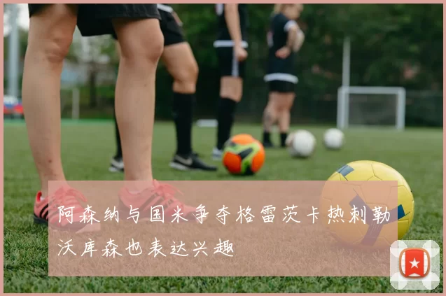 阿森纳与国米争夺格雷茨卡热刺勒沃库森也表达兴趣